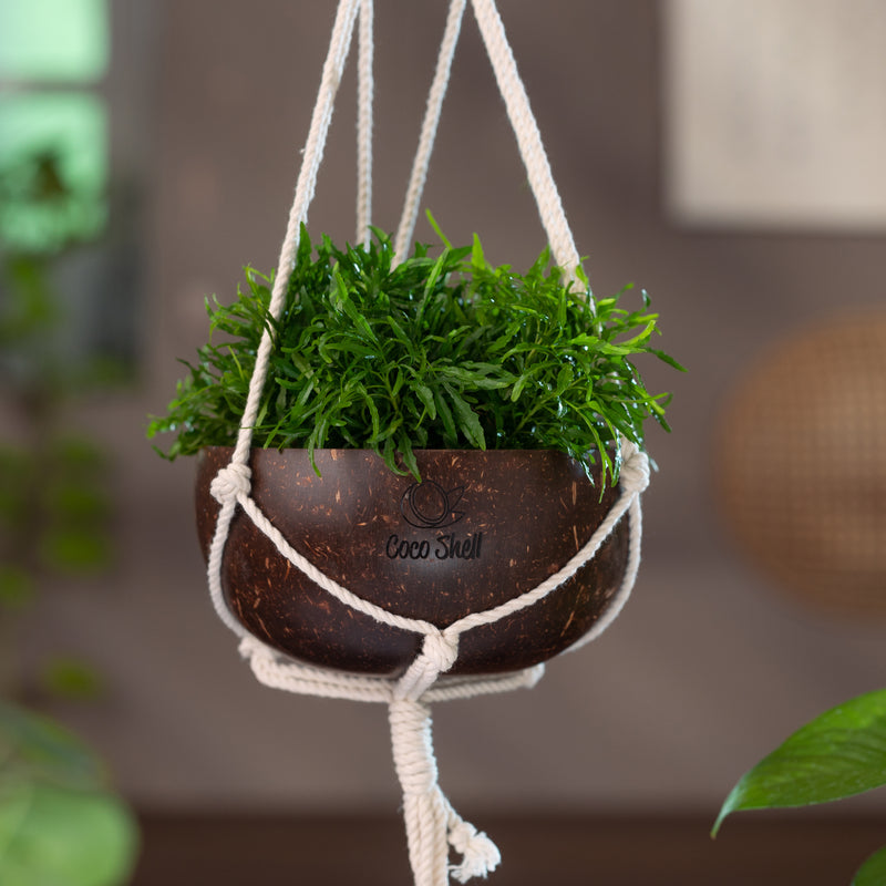 Hanging Pot by CocoShell