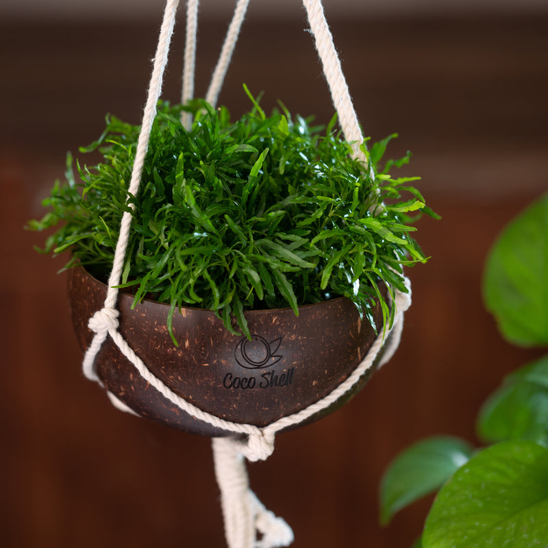 Hanging Pot by CocoShell