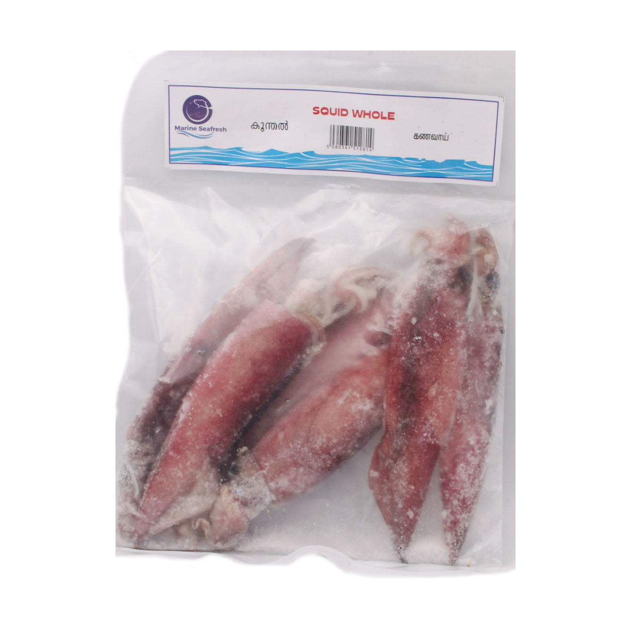 Squid Whole by Marine Seafresh