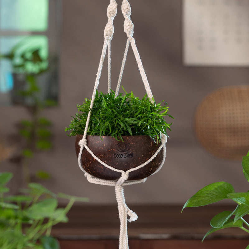 Hanging Pot by CocoShell