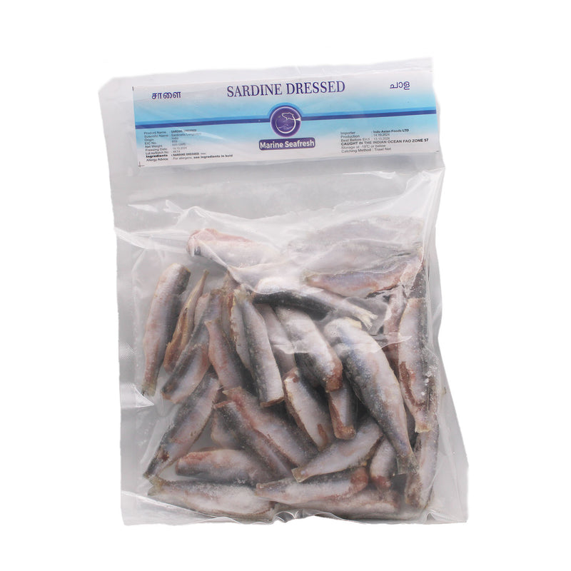 SARDINE DRESSED BY MARINE SEAFRESH