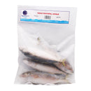 Indian Mackerel Whole by Marine Seafresh