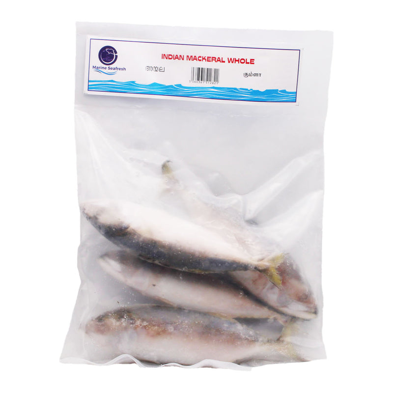 INDIAN MACKERAL WHOLE BY MARINE SEAFRESH