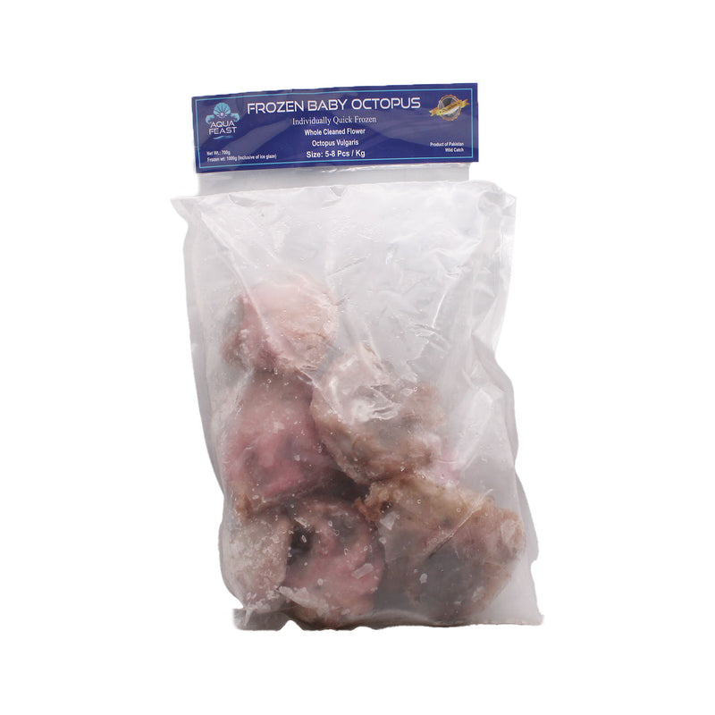 FROZEN BABY OCTOPUS BY AQUA FEAST
